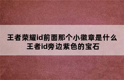 王者荣耀id前面那个小徽章是什么 王者id旁边紫色的宝石